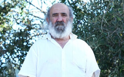 Basilio Sulis